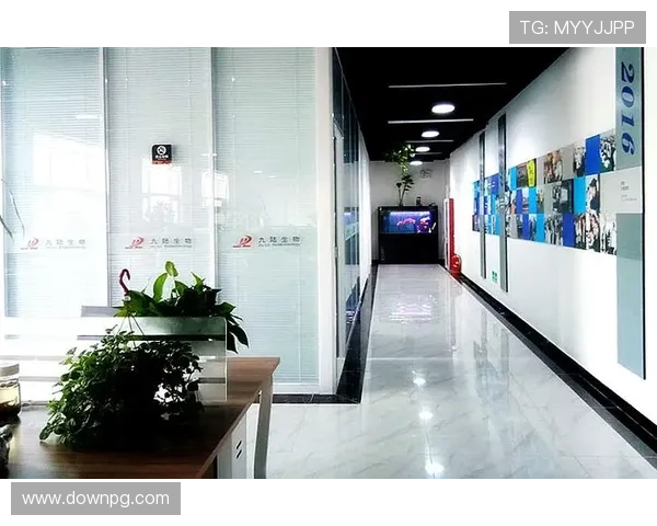 凯发真人集团有限公司的安全保障措施与用户隐私保护策略，保障玩家权益的全面措施